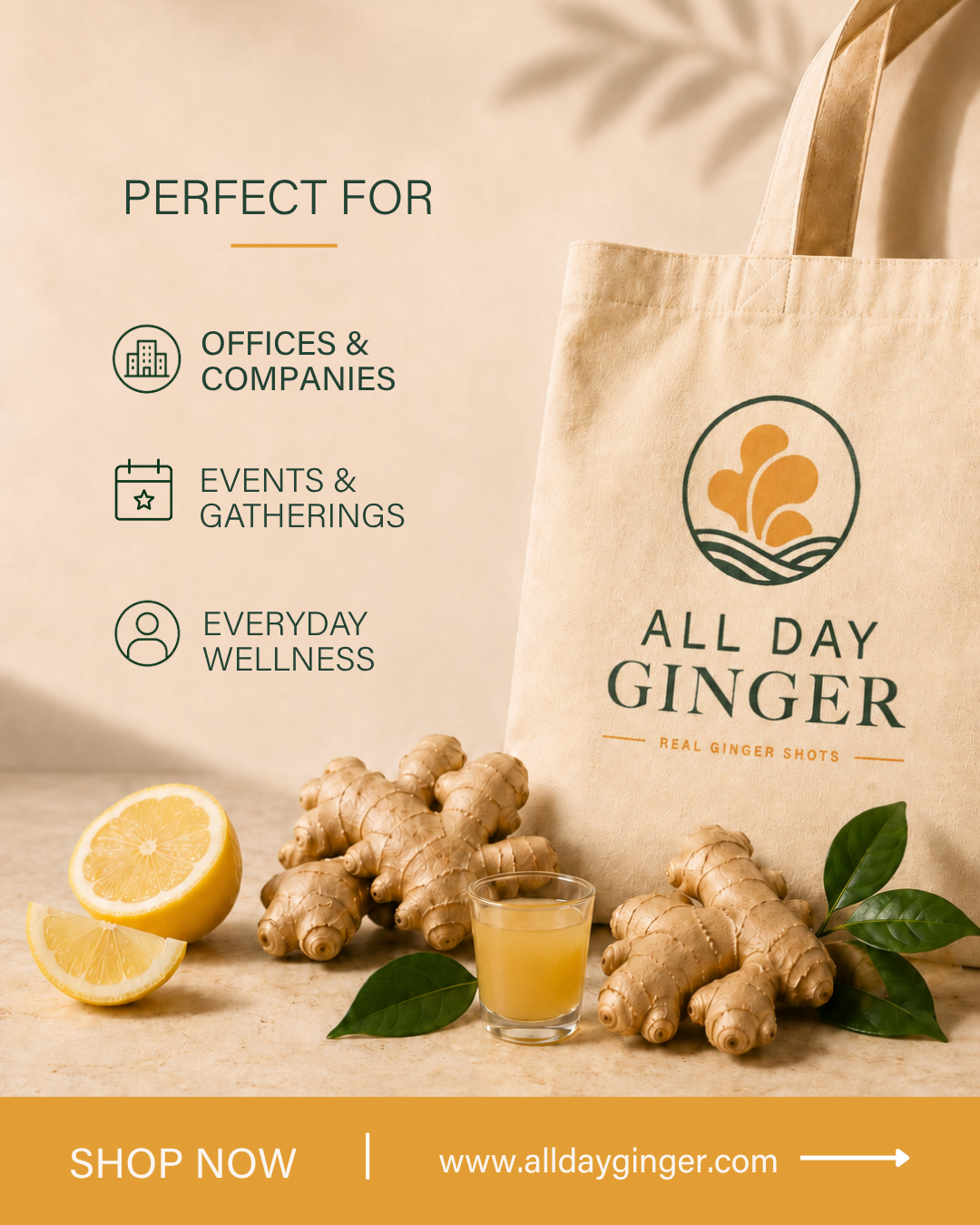 All Day Ginger — Instagram post 06